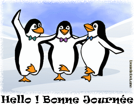 pinguin
